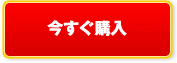 今すぐ購入する