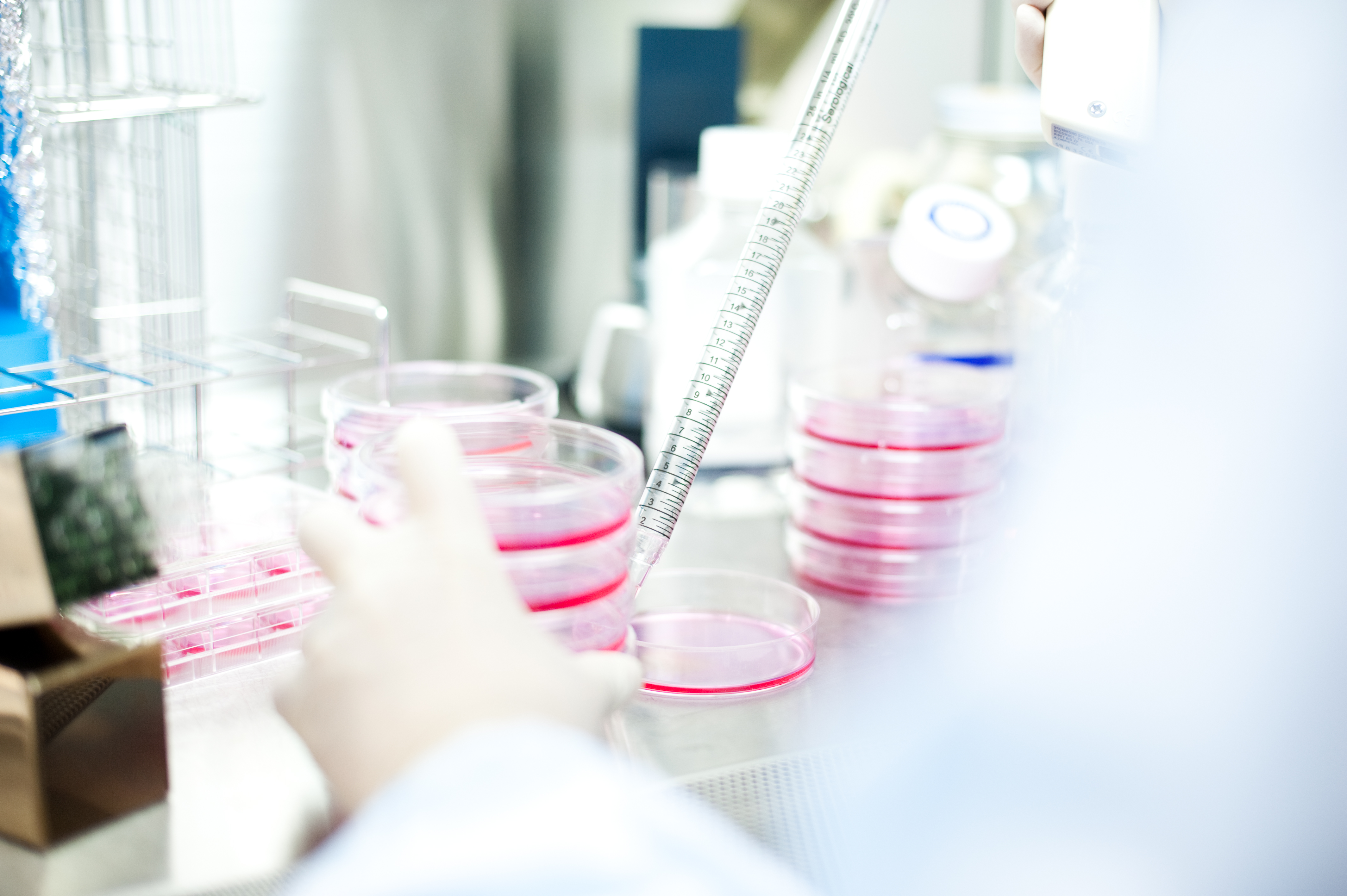 細胞培養室での培地交換＠京都大学iPS細胞研究所
