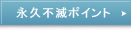 永久不滅ポイント