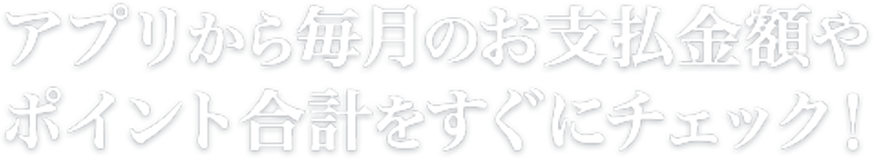 アプリから毎月のお支払金額や<br>ポイント合計をすぐにチェック！