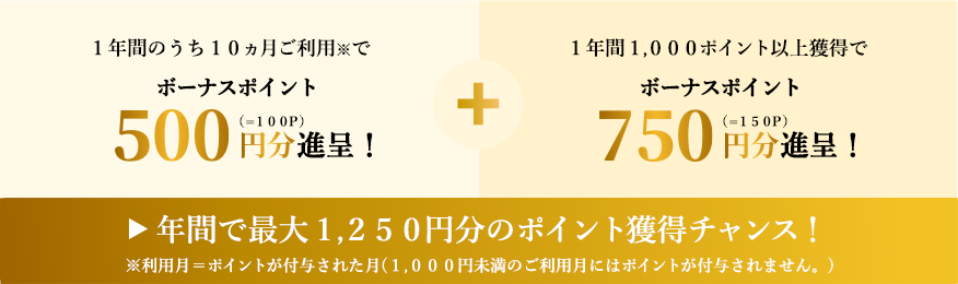 年間で最大1,250円分のポイント獲得チャンス！1年間で10ヶ月ご利用でボーナスポイント500円分進呈。1年間1000ポイント以上獲得でボーナスポイント750円分進呈。