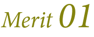 merit01