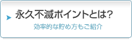 永久不滅ポイントとは？